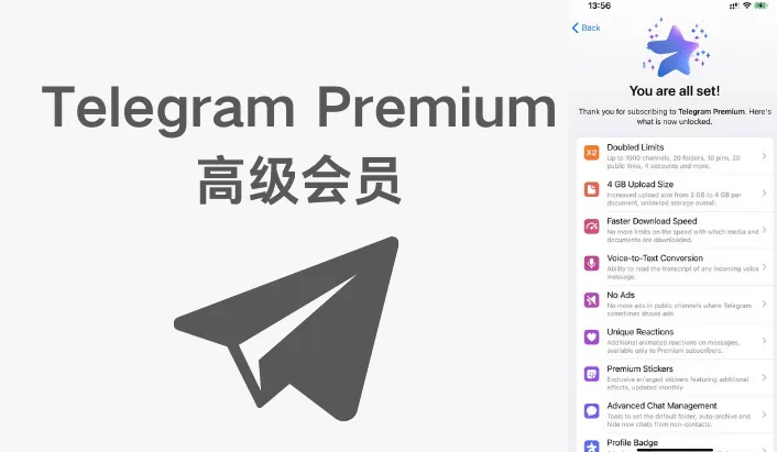 Telegram会员有何使用攻略？